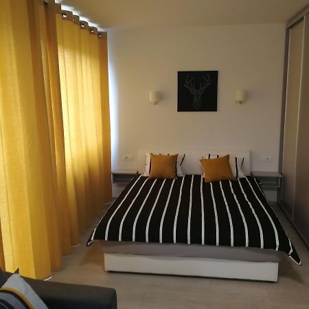 Apartment Oasis Banovo Brdo-Ada Ciganlija Βελιγράδι Εξωτερικό φωτογραφία